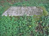 image of grave number 270655